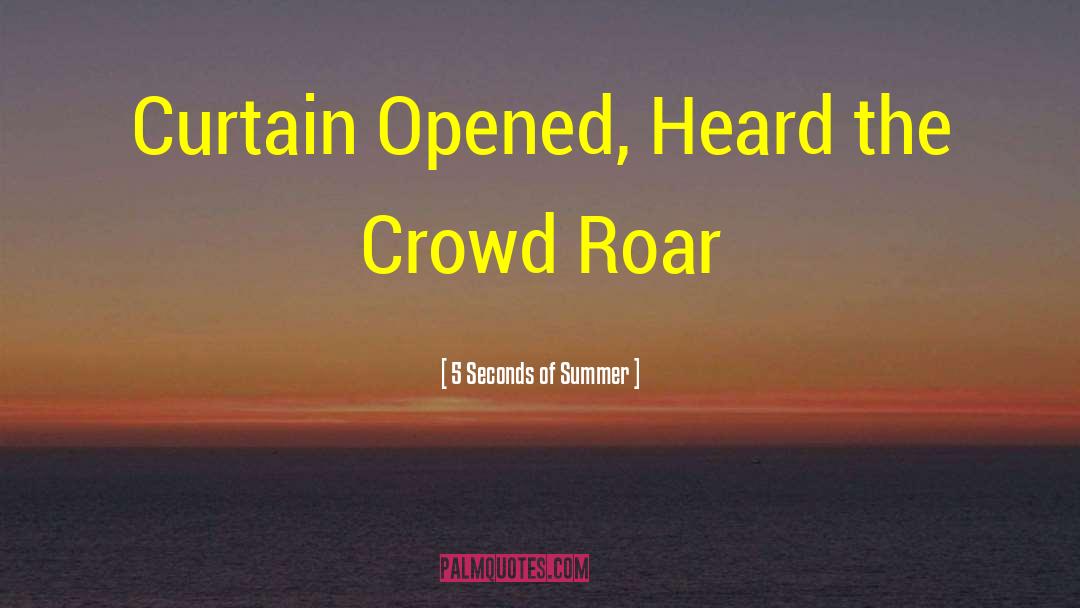 5 Seconds Of Summer Quotes: Curtain Opened, Heard the Crowd