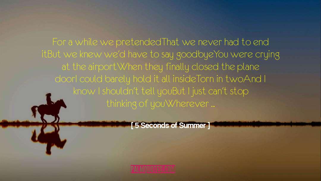 5 Seconds Of Summer Quotes: For a while we pretended<br