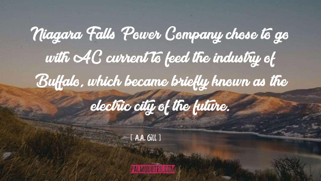 A.A. Gill Quotes: Niagara Falls Power Company chose