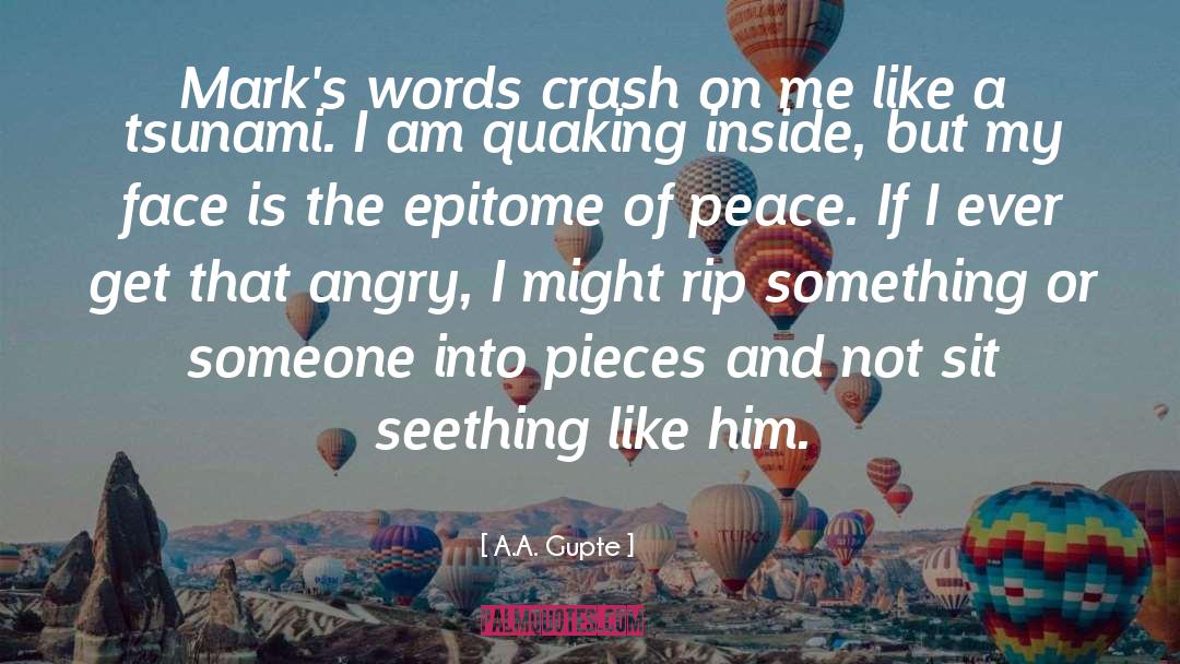 A.A. Gupte Quotes: Mark's words crash on me