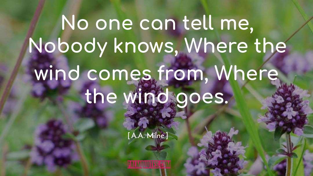 A.A. Milne Quotes: No one can tell me,