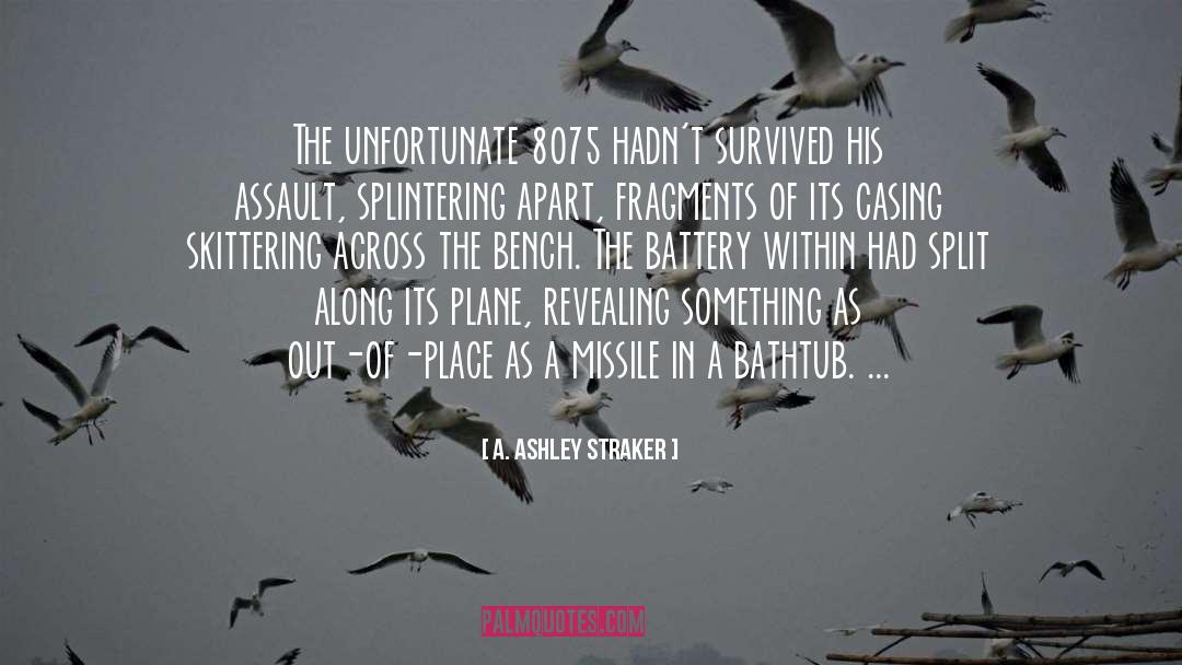 A. Ashley Straker Quotes: The unfortunate 8075 hadn't survived