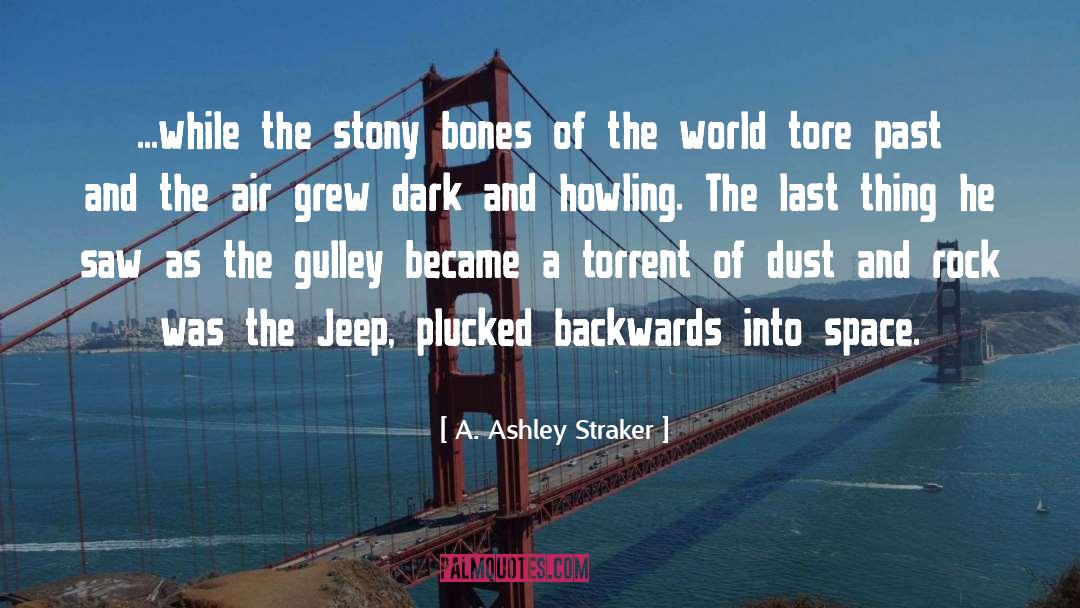 A. Ashley Straker Quotes: ...while the stony bones of
