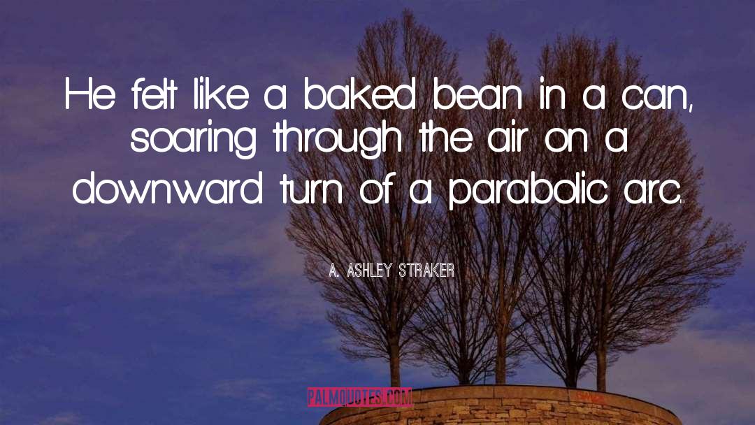 A. Ashley Straker Quotes: He felt like a baked