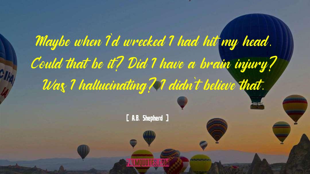 A.B. Shepherd Quotes: Maybe when I'd wrecked I