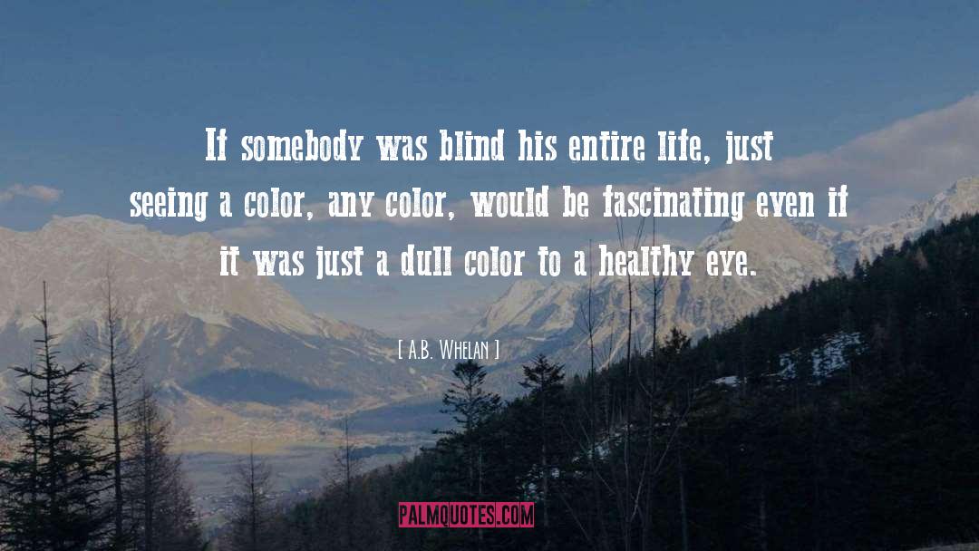 A.B. Whelan Quotes: If somebody was blind his