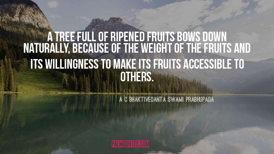 A C Bhaktivedanta Swami Prabhupada Quotes: A tree full of ripened