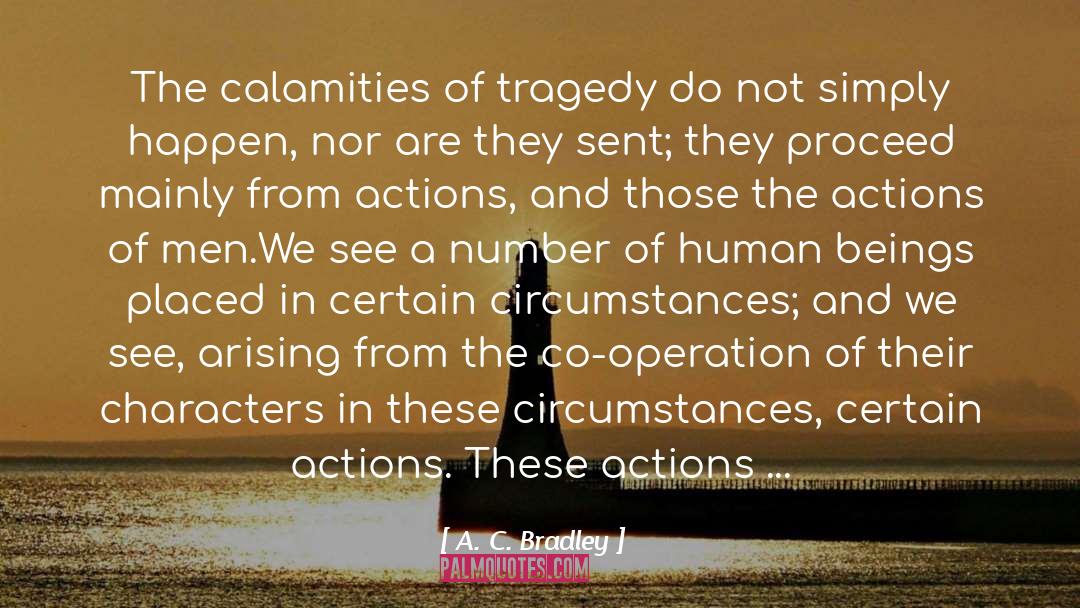 A. C. Bradley Quotes: The calamities of tragedy do
