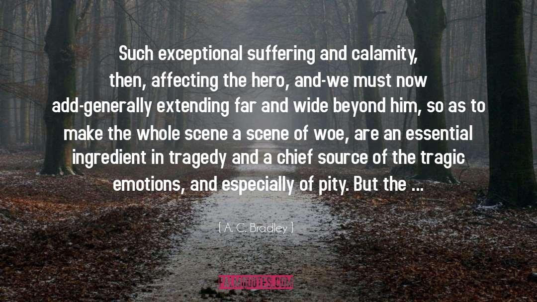A. C. Bradley Quotes: Such exceptional suffering and calamity,