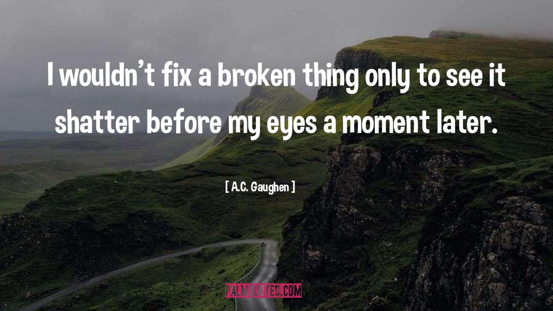 A.C. Gaughen Quotes: I wouldn't fix a broken