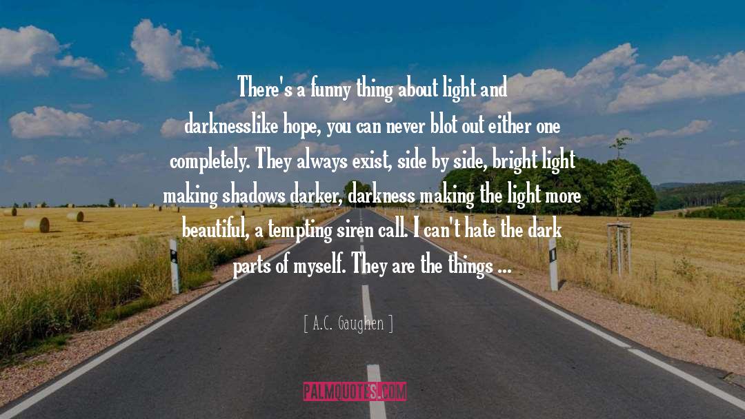 A.C. Gaughen Quotes: There's a funny thing about