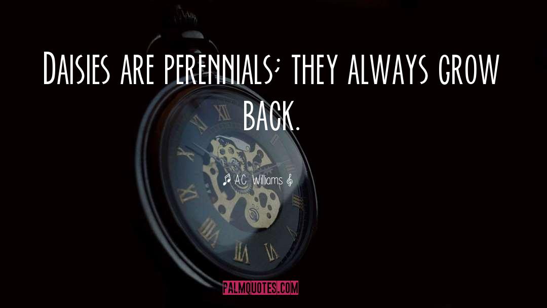A.C. Williams Quotes: Daisies are perennials; they always