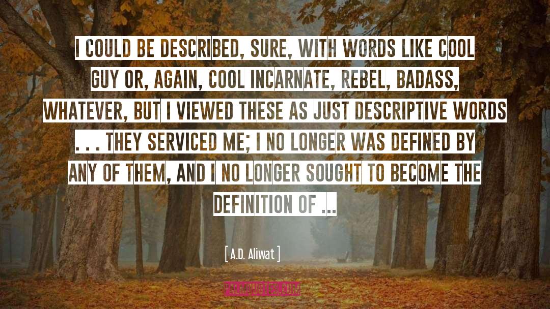 A.D. Aliwat Quotes: I could be described, sure,