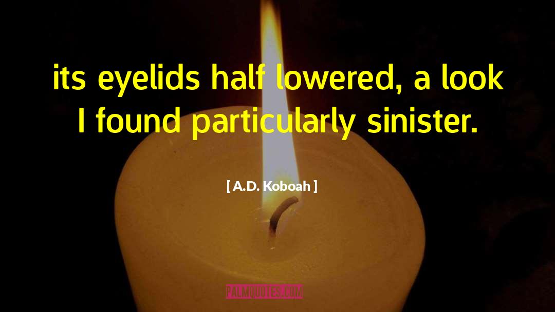 A.D. Koboah Quotes: its eyelids half lowered, a