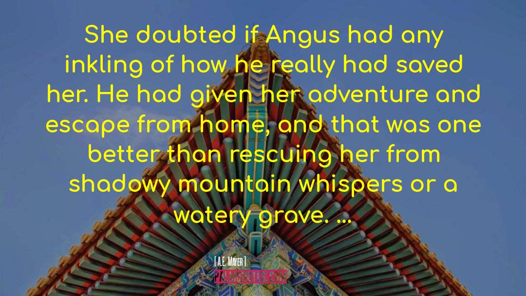 A.E. Mayer Quotes: She doubted if Angus had