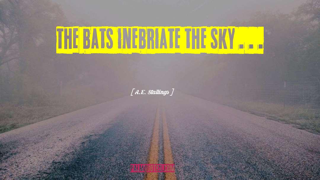 A.E. Stallings Quotes: The bats inebriate the sky