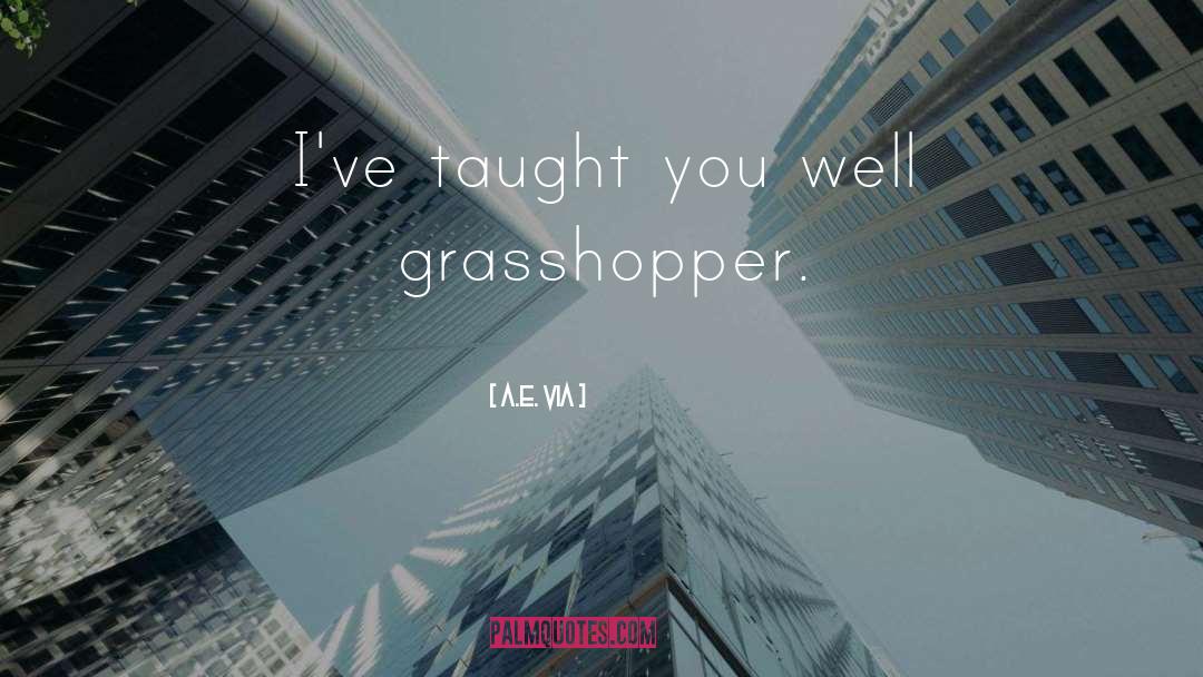 A.E. Via Quotes: I've taught you well grasshopper.