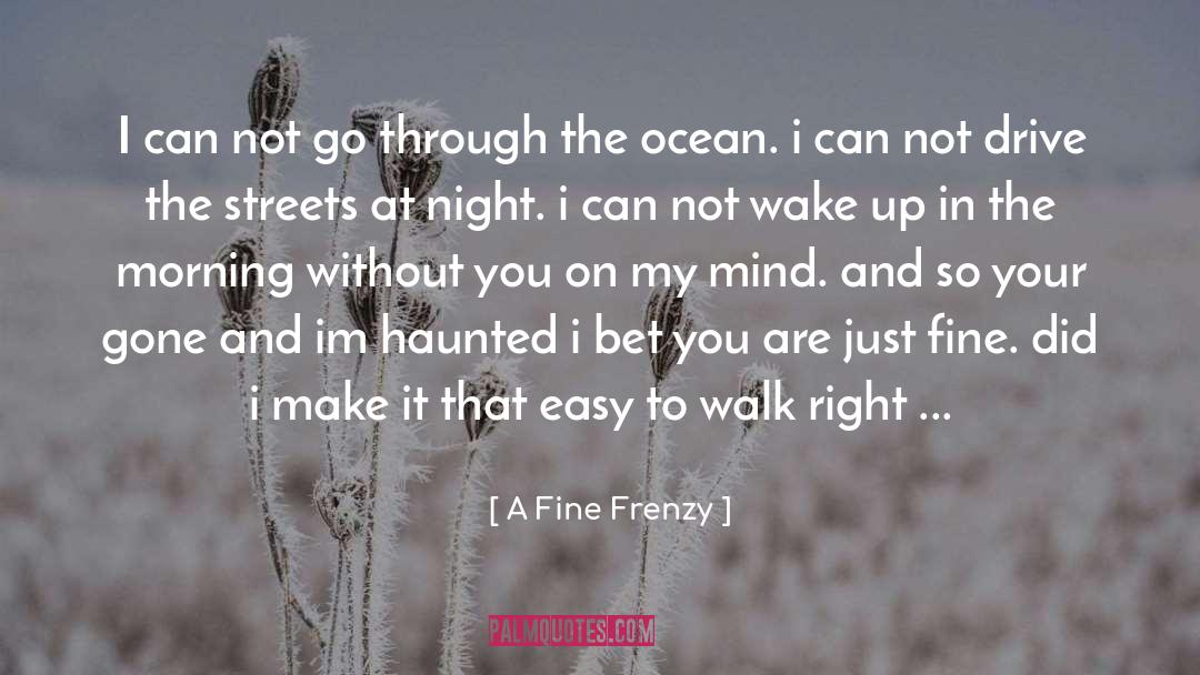 A Fine Frenzy Quotes: I can not go through