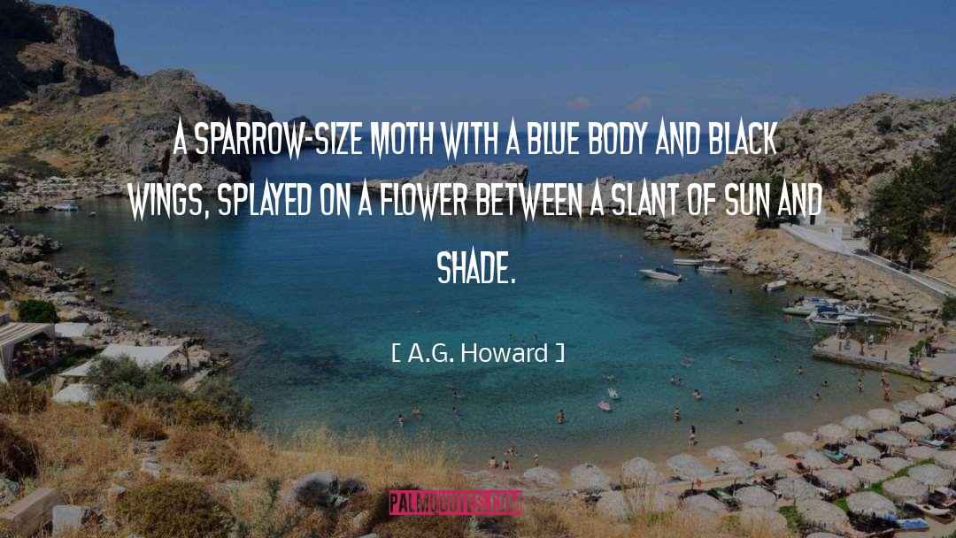 A.G. Howard Quotes: A sparrow-size moth with a