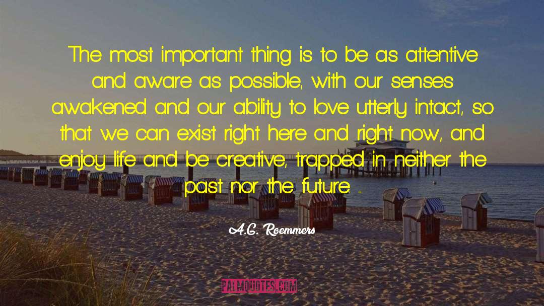 A.G. Roemmers Quotes: The most important thing is