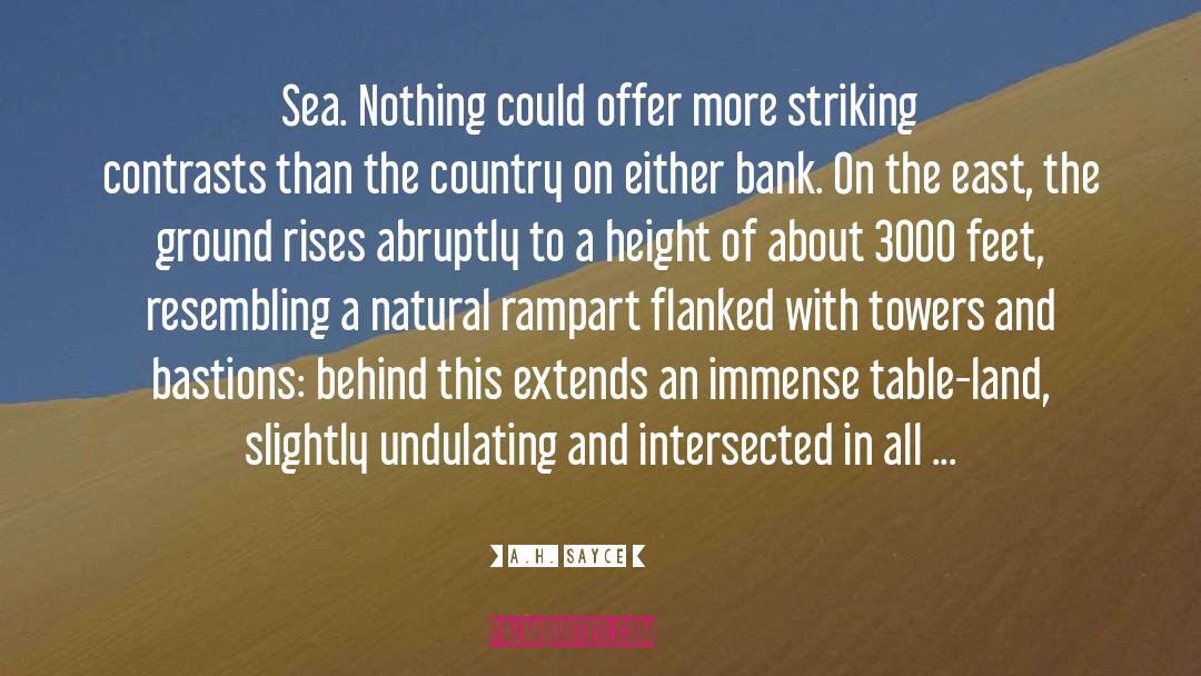 A.H. Sayce Quotes: Sea. Nothing could offer more