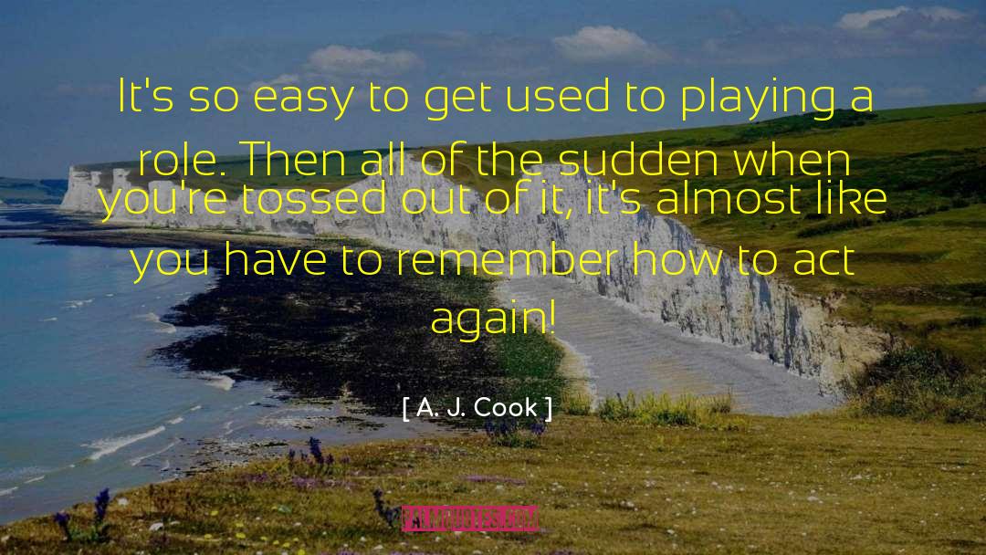 A. J. Cook Quotes: It's so easy to get