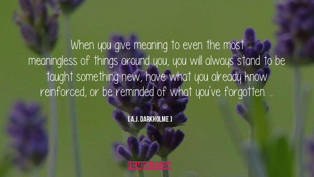 A.J. Darkholme Quotes: When you give meaning to
