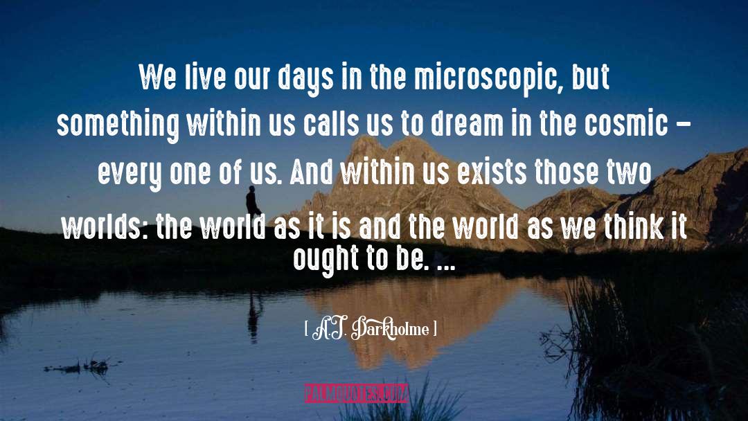 A.J. Darkholme Quotes: We live our days in