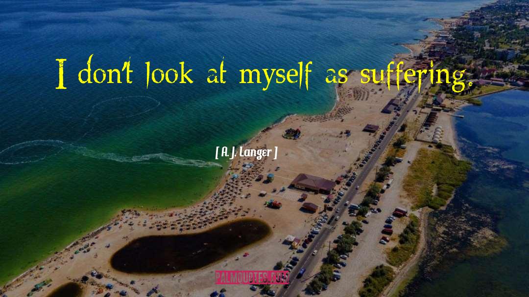 A. J. Langer Quotes: I don't look at myself