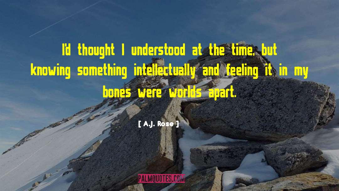 A.J.  Rose Quotes: I'd thought I understood at