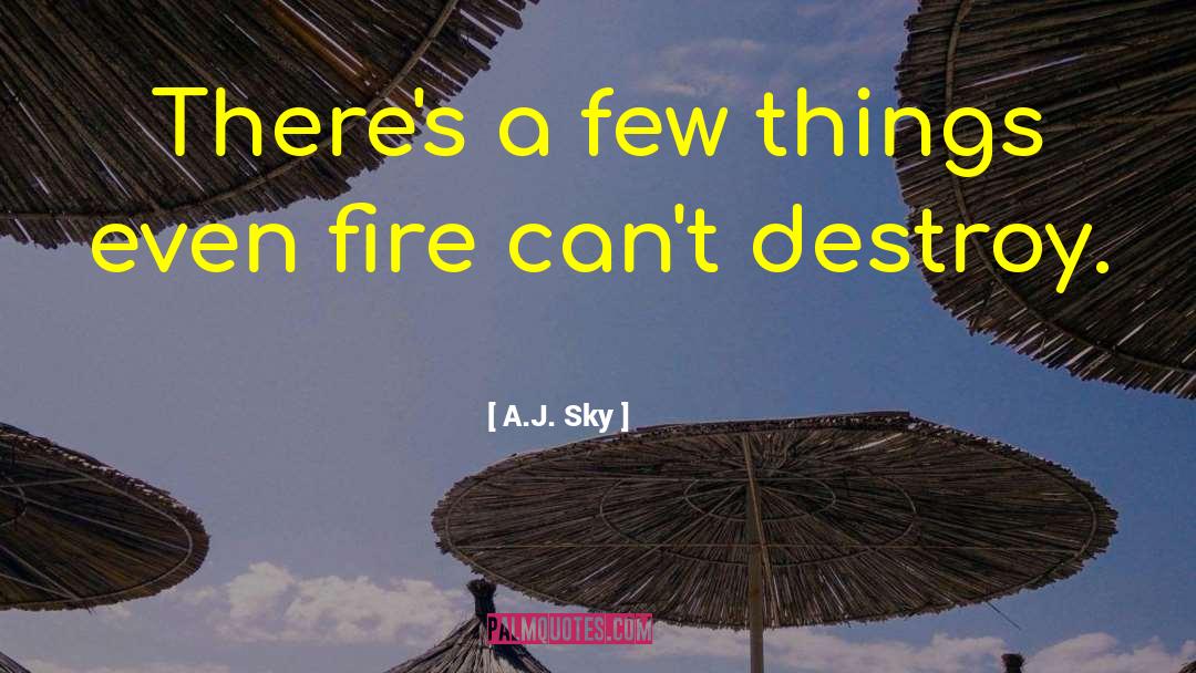 A.J. Sky Quotes: There's a few things even