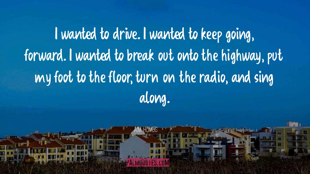 A.M. Homes Quotes: I wanted to drive. I