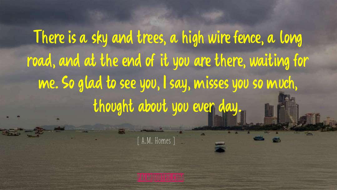 A.M. Homes Quotes: There is a sky and