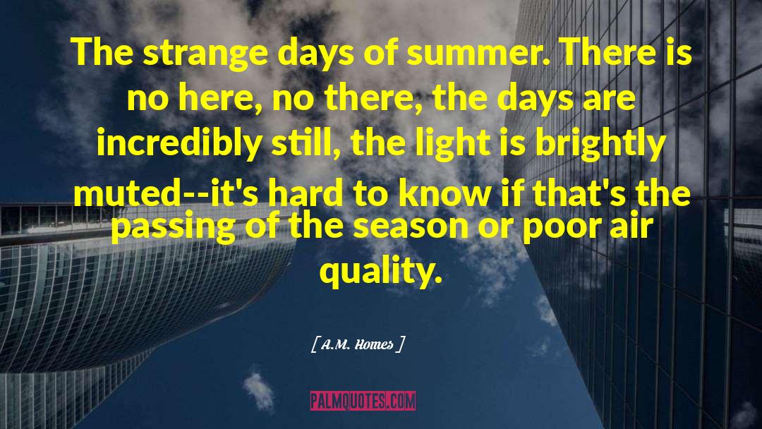 A.M. Homes Quotes: The strange days of summer.