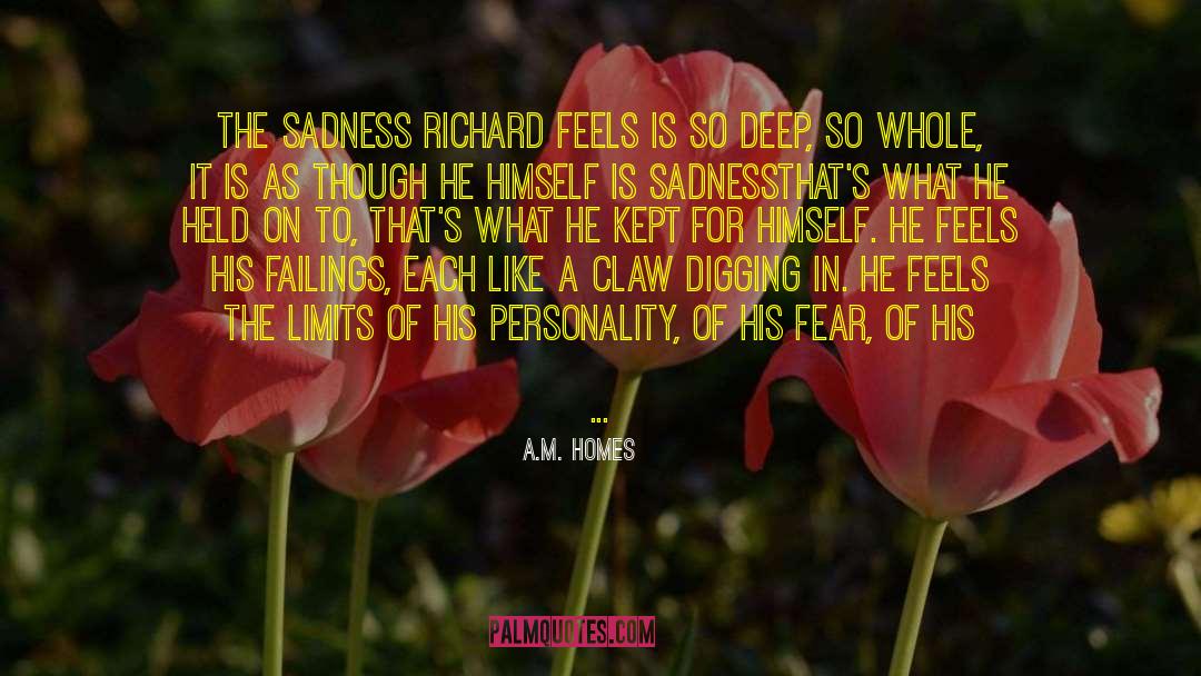 A.M. Homes Quotes: The sadness Richard feels is