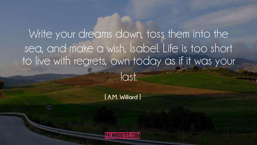 A.M. Willard Quotes: Write your dreams down, toss