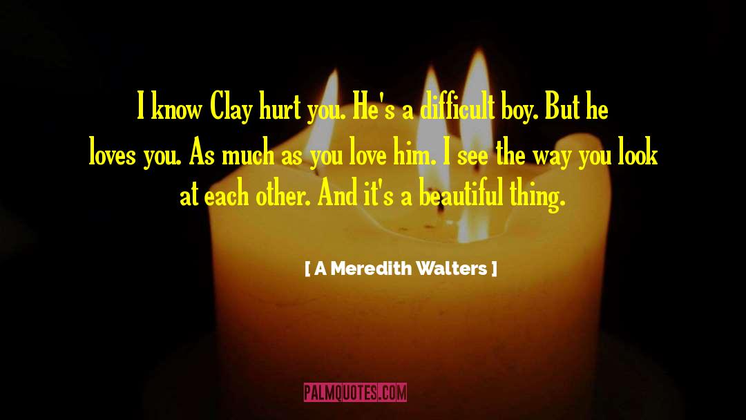 A Meredith Walters Quotes: I know Clay hurt you.