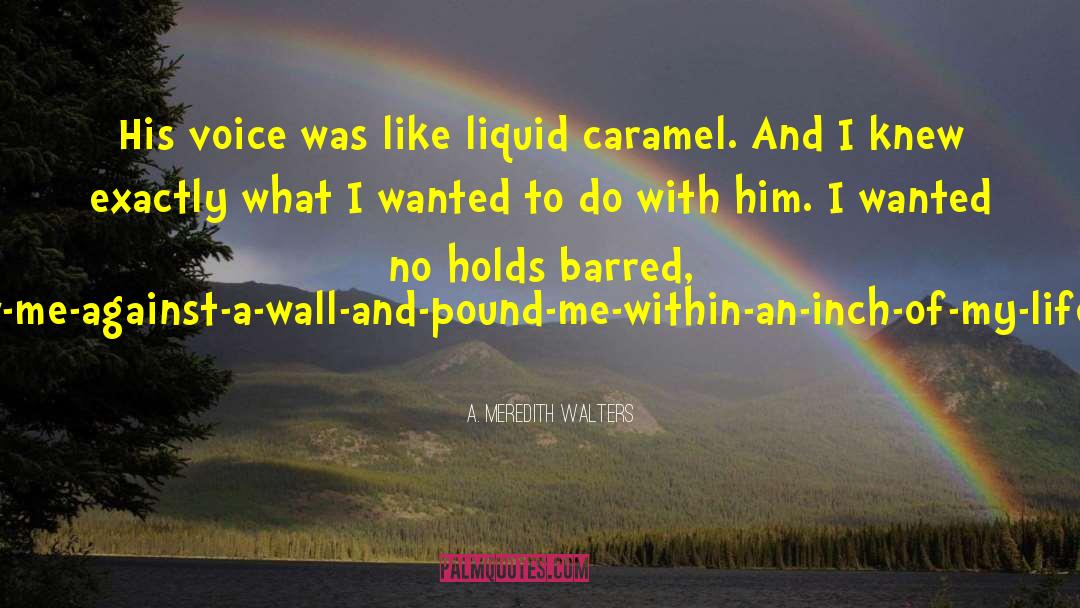A Meredith Walters Quotes: His voice was like liquid