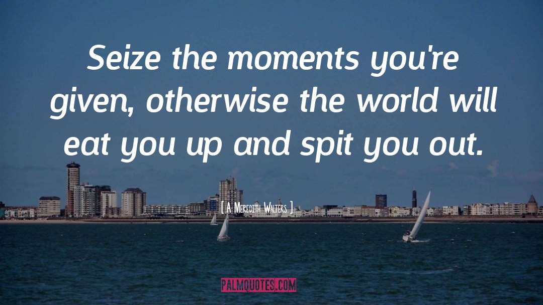 A Meredith Walters Quotes: Seize the moments you're given,