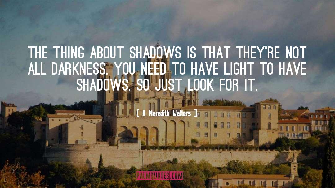 A Meredith Walters Quotes: The thing about shadows is