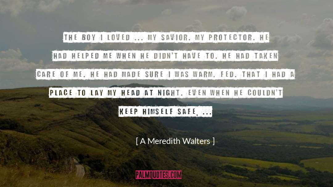 A Meredith Walters Quotes: The boy I loved ...