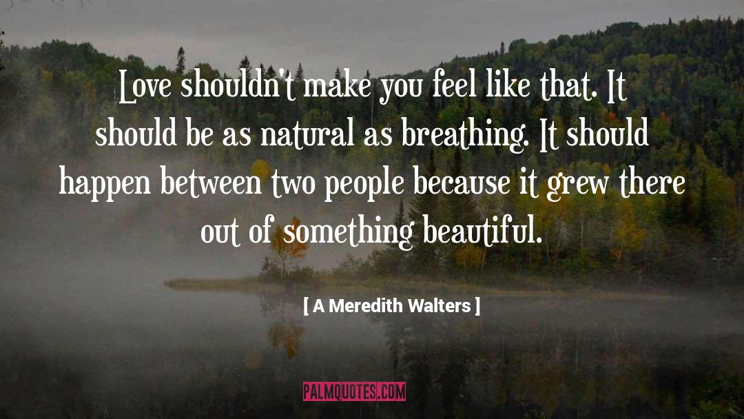 A Meredith Walters Quotes: Love shouldn't make you feel