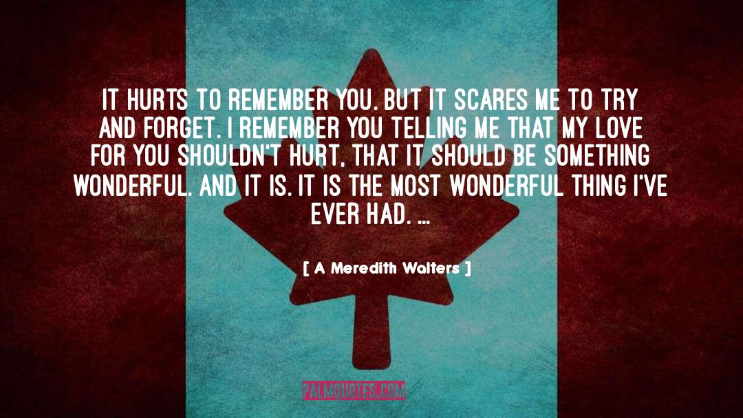 A Meredith Walters Quotes: It hurts to remember you.