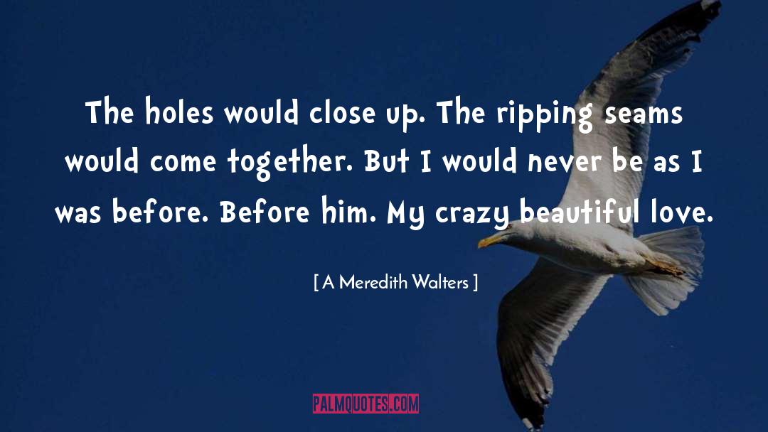 A Meredith Walters Quotes: The holes would close up.