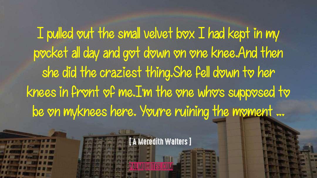 A Meredith Walters Quotes: I pulled out the small