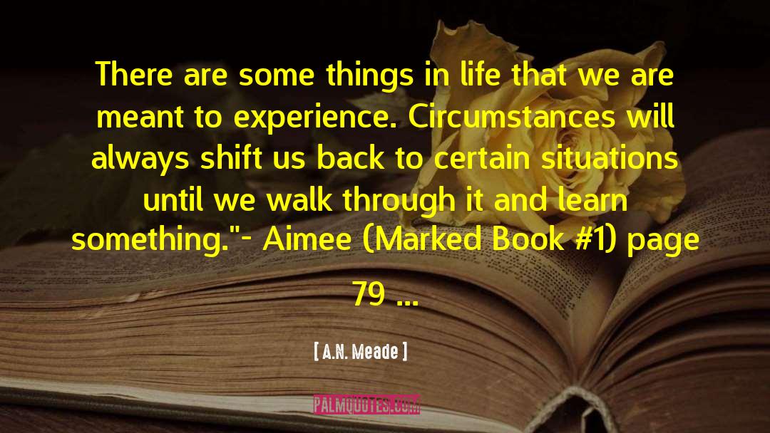 A.N. Meade Quotes: There are some things in