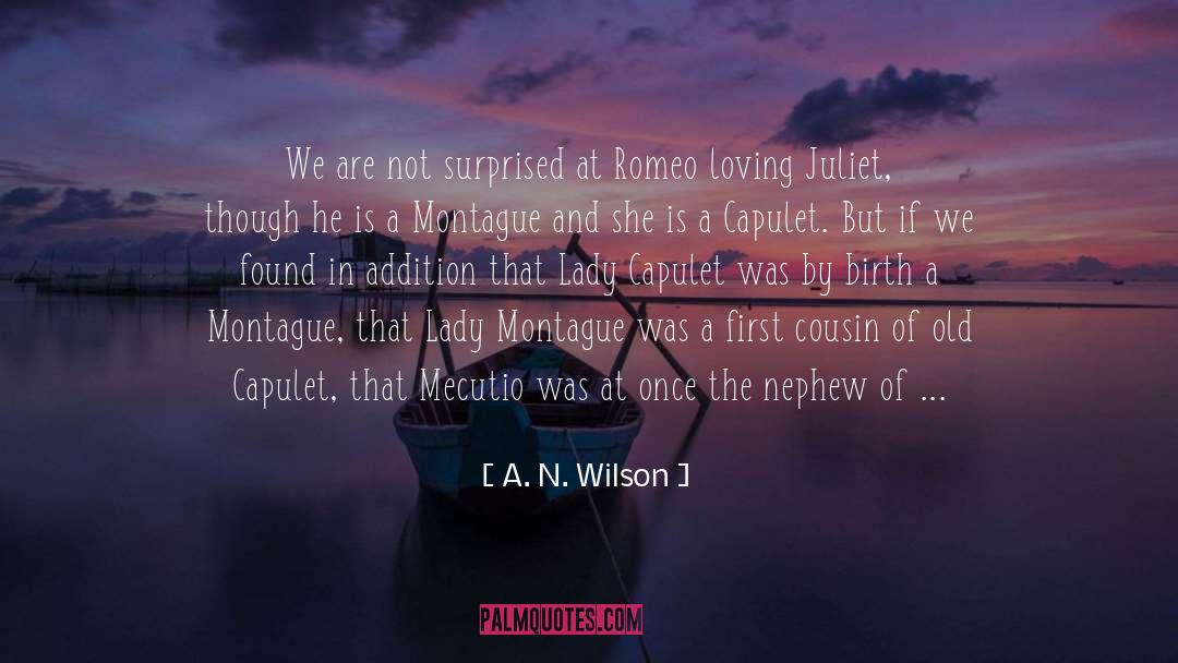 A. N. Wilson Quotes: We are not surprised at