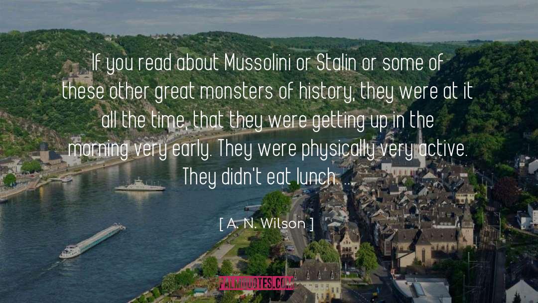 A. N. Wilson Quotes: If you read about Mussolini