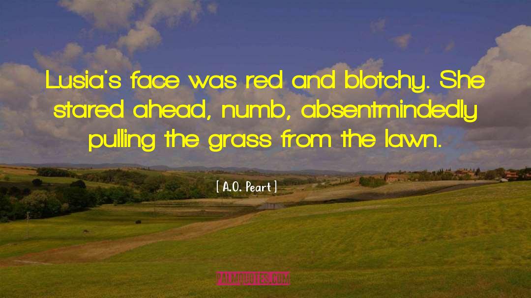 A.O. Peart Quotes: Lusia's face was red and