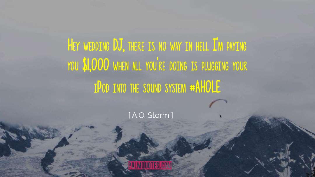 A.O. Storm Quotes: Hey wedding DJ, there is